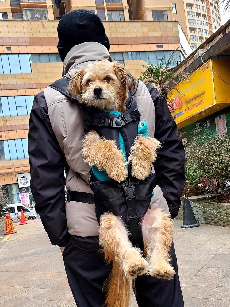 반려견 슬링백 포대기 여행 백팩 외출 슬링 이동 이동가방 가방 소형견 이동장 대형견 펫 - 상세 이미지 2