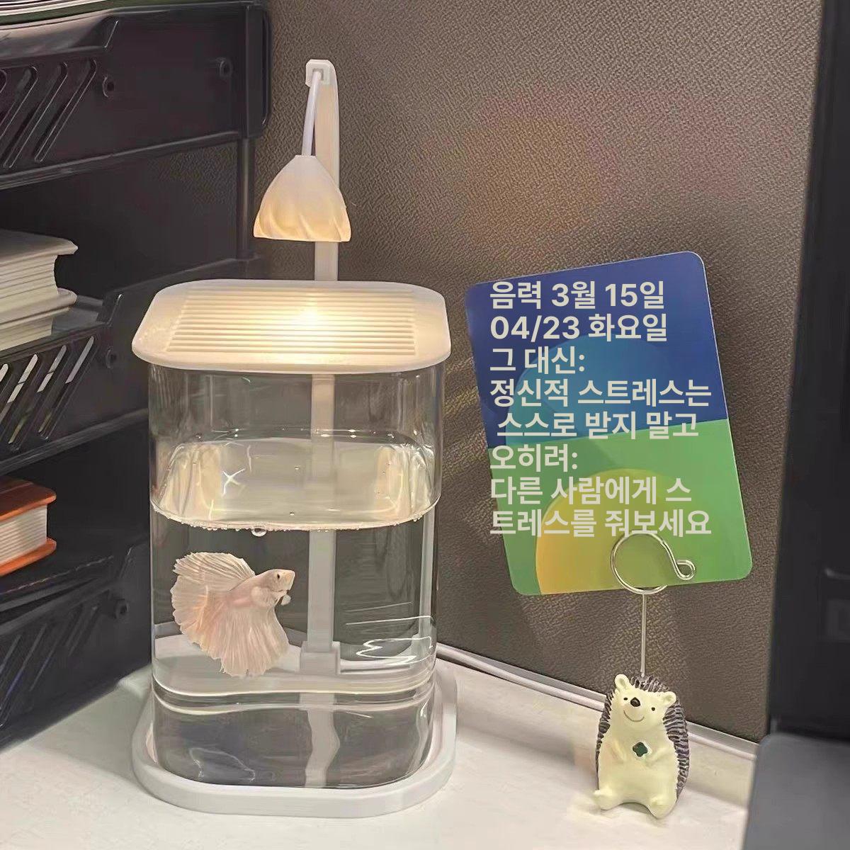 아쿠아리움 물고기 어항 원형 인테리어 미니 수조 해파리 금붕어 키우기 거치대 탁상 - 상세 이미지 2
