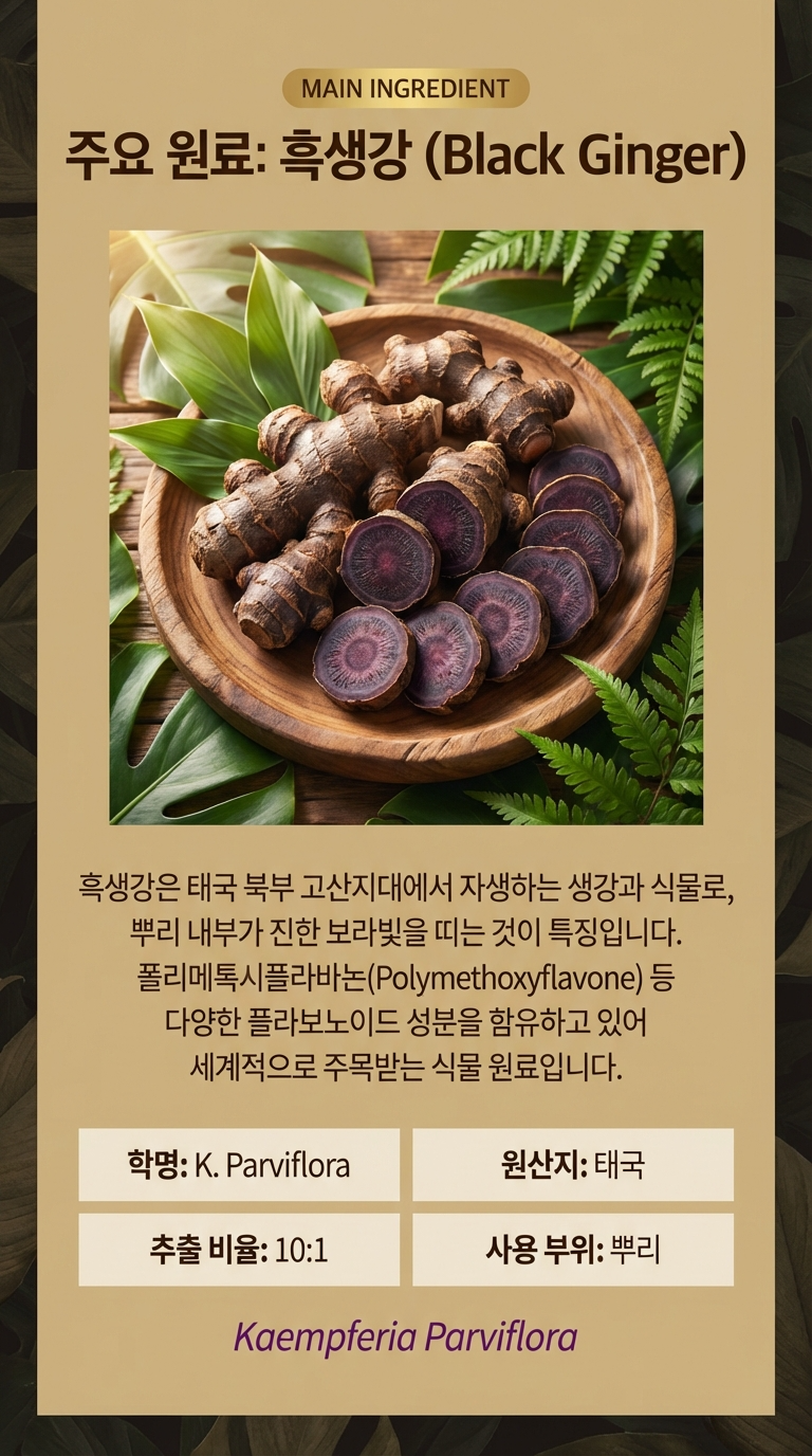 파비플로라 흑생강 10배농축 추출물 1800mg 베지캡슐 끄라차이담 이미지 8