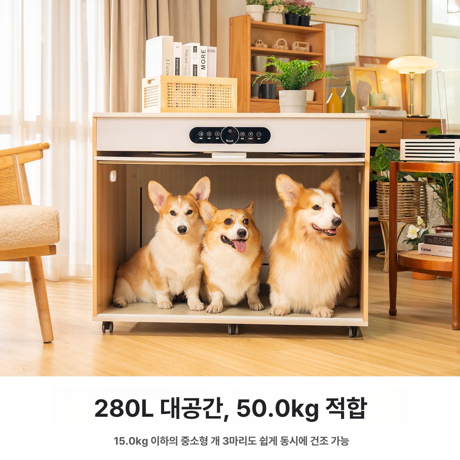 리트리머 건조기 진돗개 대형견 헤어 간식 강아지간식건조기 중대형 드라이룸 드라이기 - 상세 이미지 3