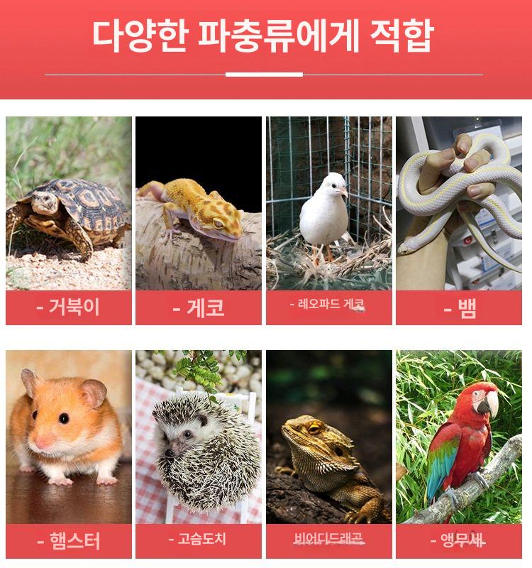 레오파드게코 사육장 케이지 자동 상자 인큐베이터 아크릴 스마트 거북이 참고 은신처 대형 이미지 7