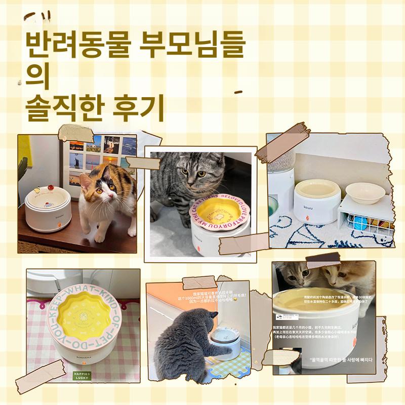 강아지 보온물그릇 식기 발열 길냥이 얼지않는 보온 따뜻한 야외 급식소 온수기 전기 - 상세 이미지 3