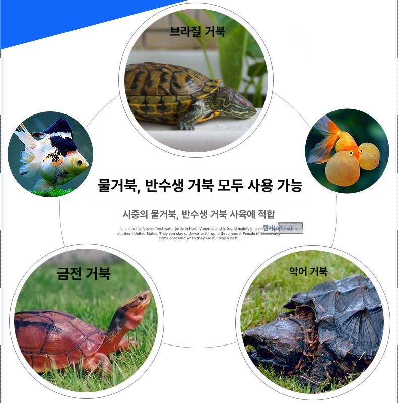 거북이 수조 대형 어항 파충류 실내 사육장 플라스틱 번식 배수 초대형 측면 아크릴 - 상세 이미지 3