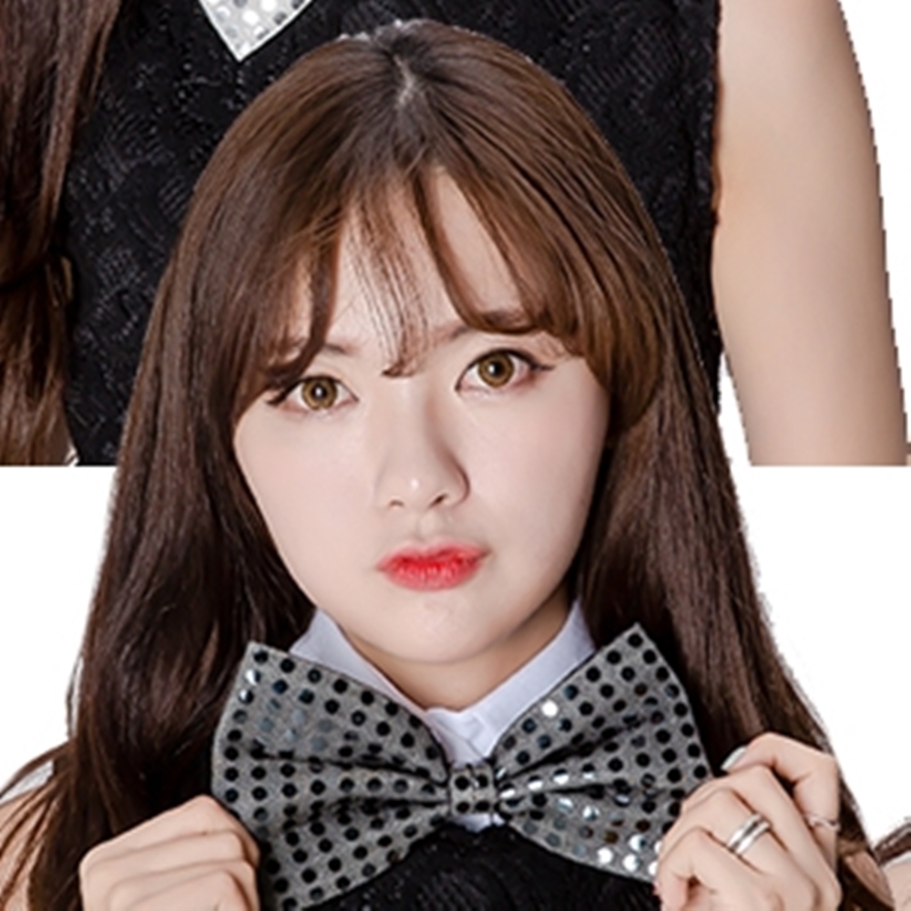 나비 넥 타이 중 - 상품 이미지