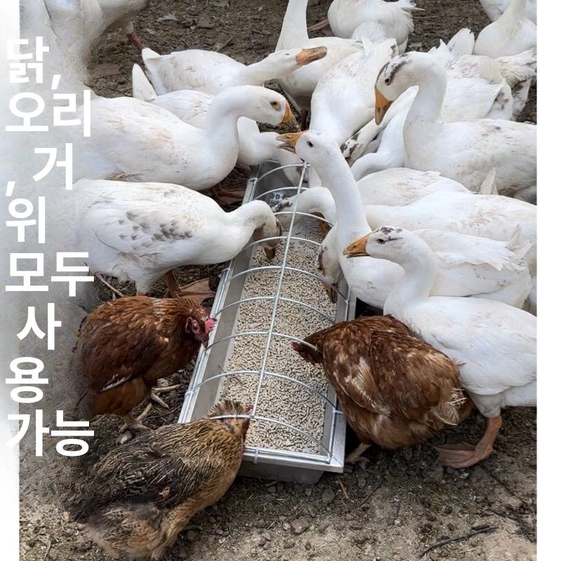 가금류 사료통 양계장 전용 모이통 닭모이 비둘기 급식기 닭모이통 거위 공급기 급수기 - 상세 이미지 3