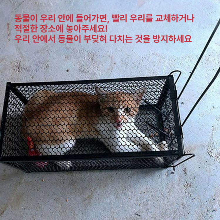 농작물 포획기 동물 특대형 케이지 덫 유해조류 족제비 야생동물 과수원 멧돼지 보호 퇴치기 - 상세 이미지 3