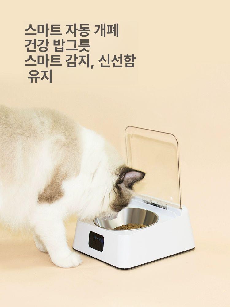 고양이 인식 자동급식기 건강 애완 스마트 스테인레스 센서 자동인식 밥그릇 반려동물 - 상세 이미지 3