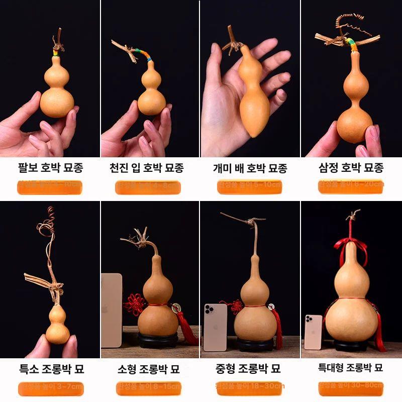 식물 취목볼 고압 투명 접목 뿌리 스몰 뿌리번식 공중뿌리 블랙 고지대 공중 대형 상자 이미지 6