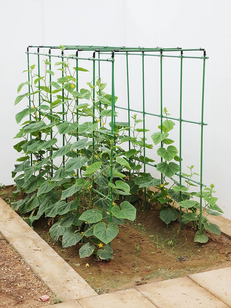 철제 지주대 토마토 조립식 식물 프레임 장미 텃밭 넝쿨 오이 정원 파이프 지지대 온실 - 상세 이미지 2