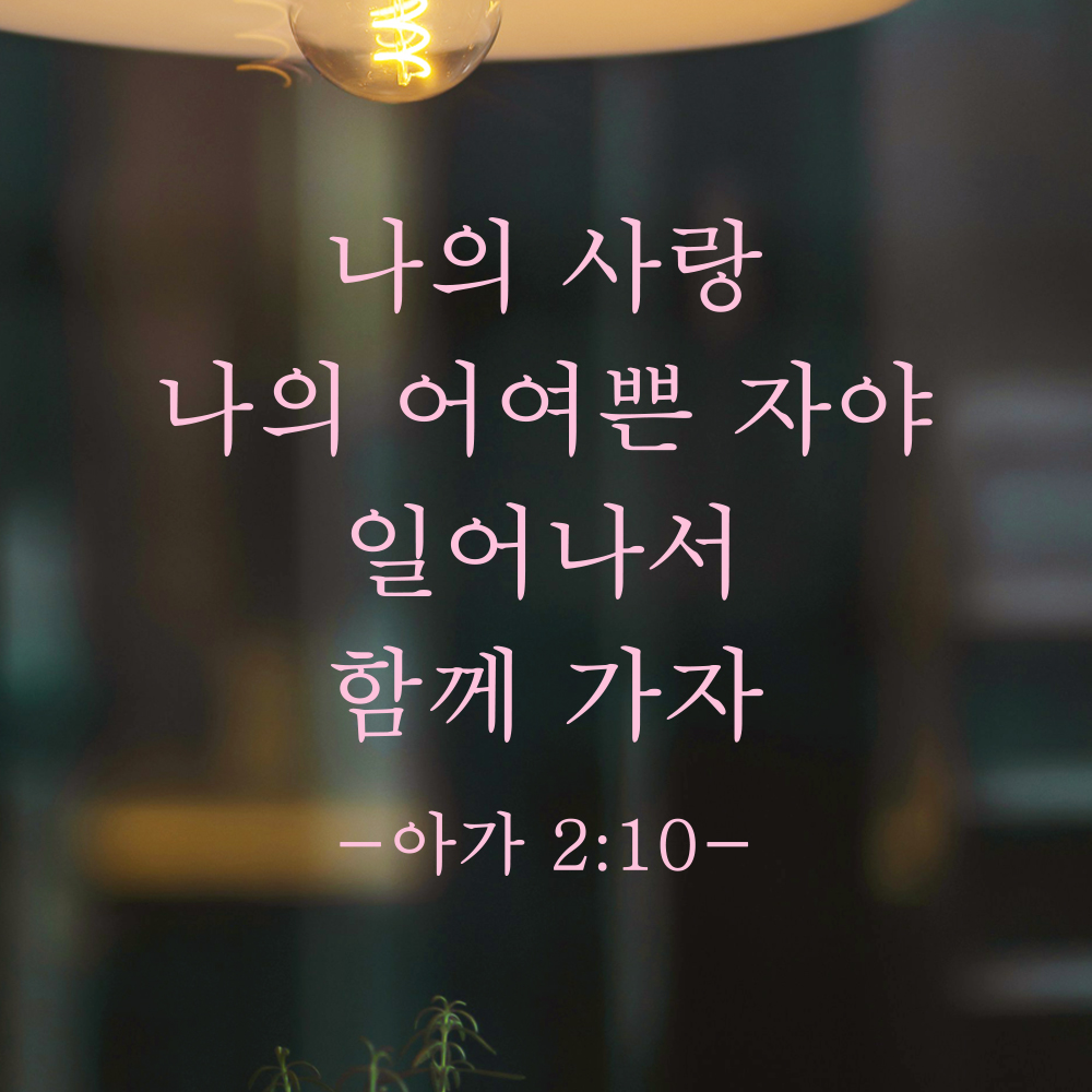 성경말씀 스티커 아가서 2장 10절 교회 현관문 꾸미기 클래식명조 검정S 24x20.5cm - 상세 이미지 4