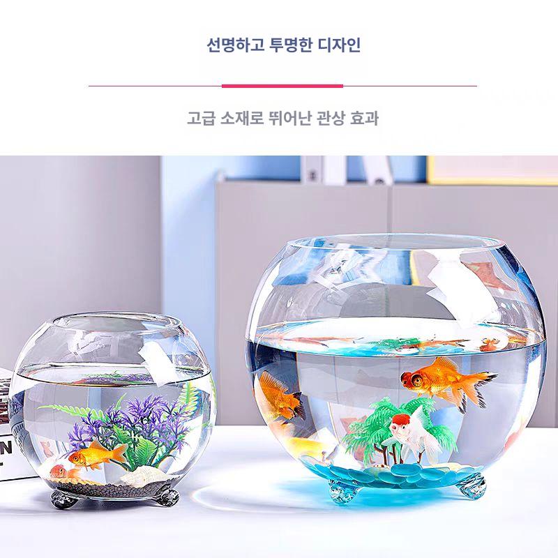 원형유리어항 둥근 물고기 투명 원형 키우기 컬러 유리 금붕어 장식 원형어항 새우 어항 - 상세 이미지 4