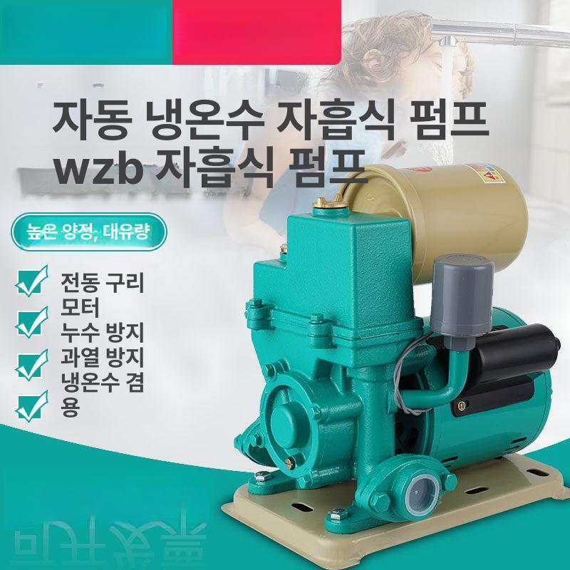 가정용 우물양수기 지하수 소형 모터 수중 작두펌프 스텐 관정 워터펌프 양수기 수동 급수 - 상세 이미지 2