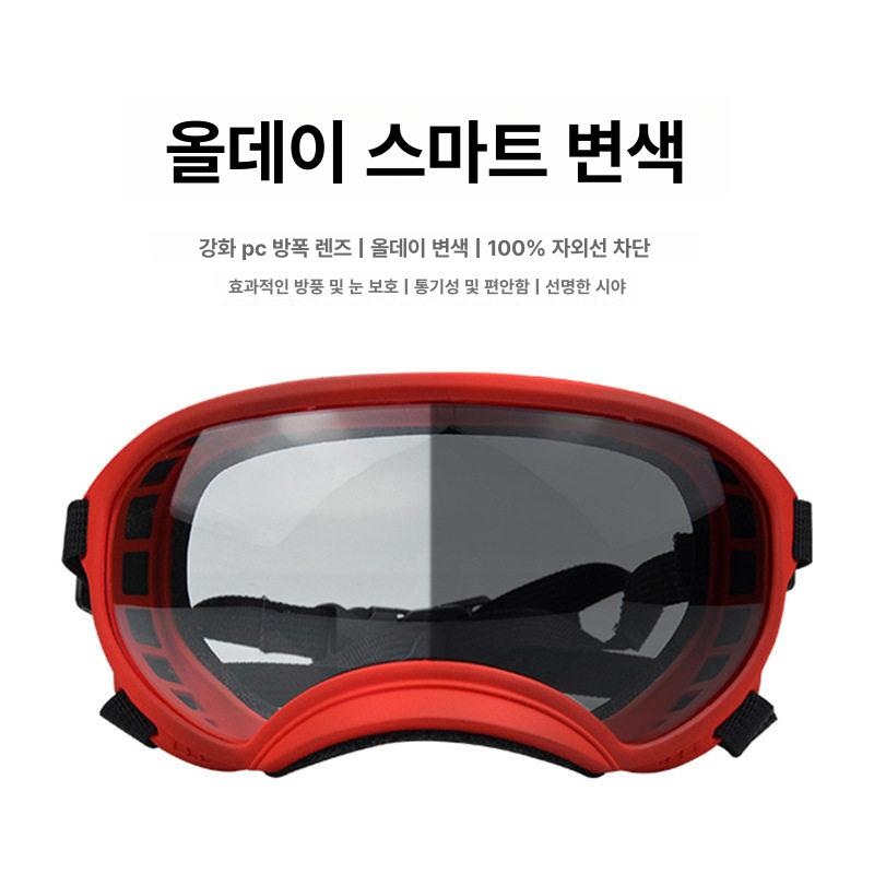 강아지 고글 드라이브 말티즈 야외활동 착용 간편한 강아지고글 소형견 자외선 선글라스 보호 - 상세 이미지 5