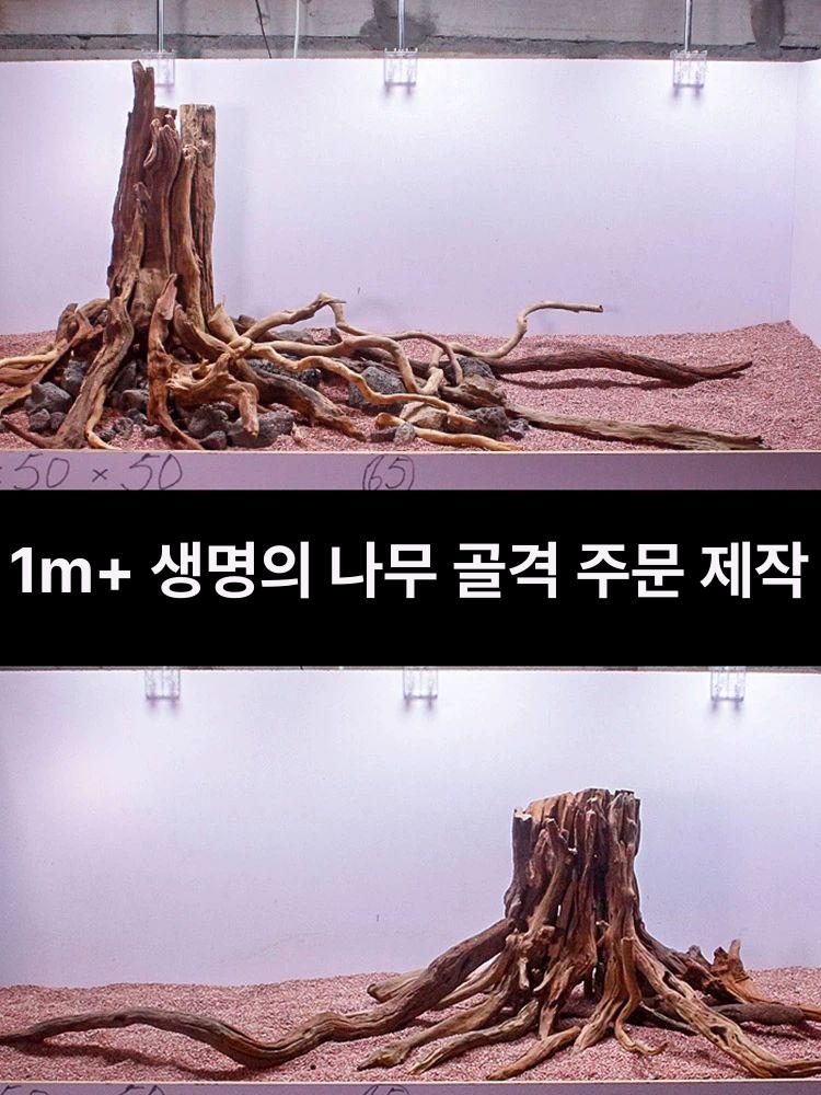 유목레이아웃 뿌리 가지 열대어 장식 나무 은신처 실린더 레이아웃 간이조경 생명의 꾸미기 - 상세 이미지 4
