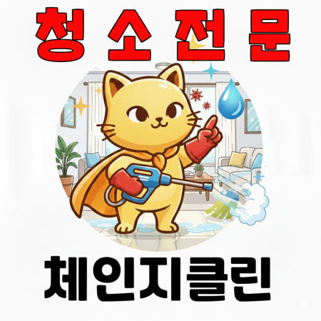경기 과천시 주암동 오피스텔 원룸 아파트 입주 이사청소 전문 직영팀 체인지클린