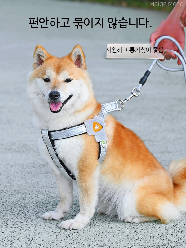 강아지하네스세트 소형견 중형견 산책용 가슴줄 리드줄 조절형 편안한 착용감 반려견 애견산책용품 - 상세 이미지 2