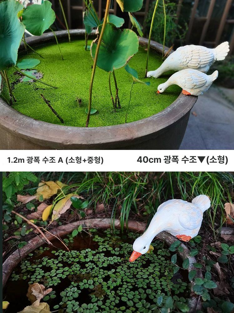 마당 오리 조형물 가든 소품 데코 화단 장식 정원꾸미기 공원 장식품 연못 모형 같이 조경 - 상세 이미지 3