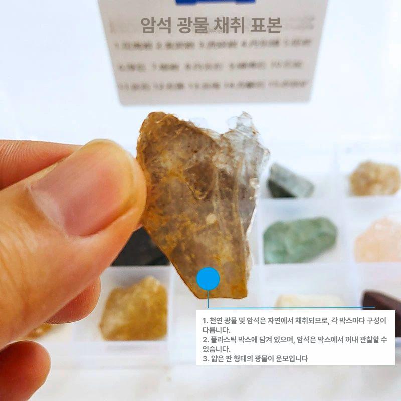 천연 암석 광물 과학 교구 크리스탈 교육용 관찰 표본 변성 수업 스톤 실험 광석 장식 돌 - 상세 이미지 5