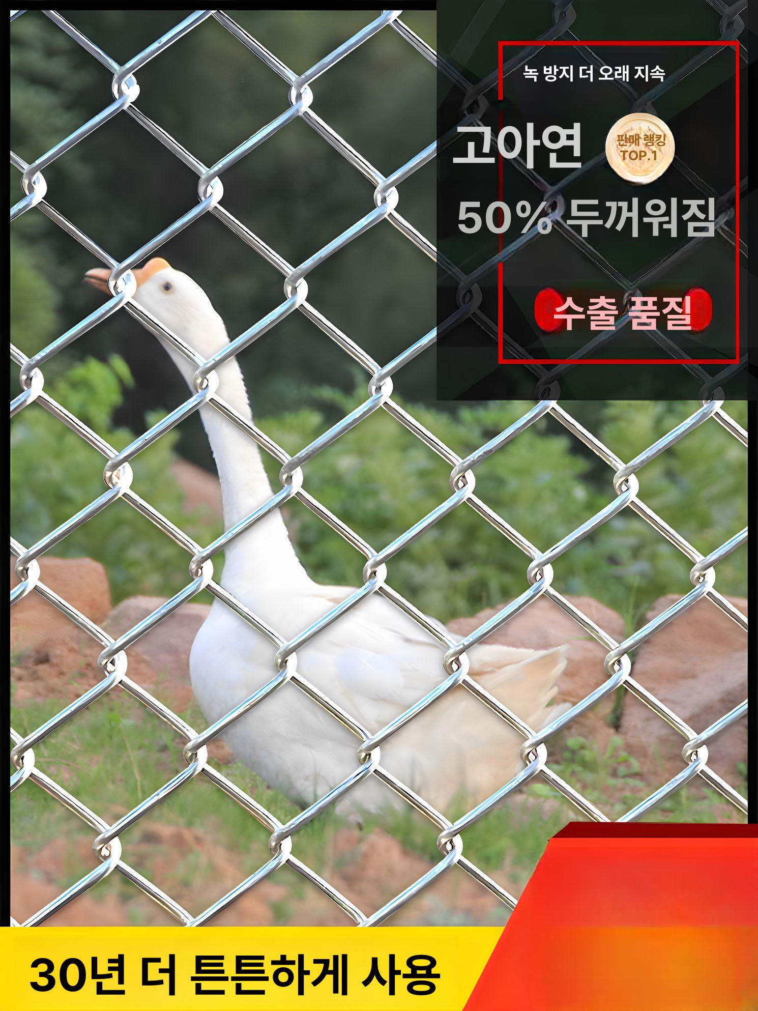 철망 울타리 메쉬 안전망 닭장 양계망 메쉬망 울타리망 메쉬휀스 이동식 노루망 그물망 - 상세 이미지 3