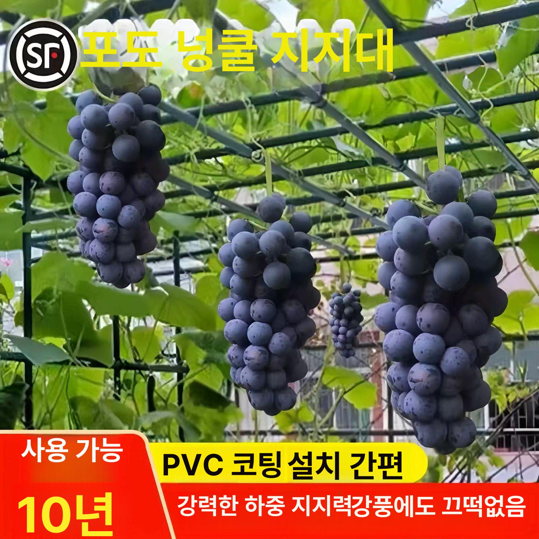 넝쿨 지주대 텃밭아치 원예 덩쿨 덩굴 포도 넝쿨지지대 대형 장미 호박 텃밭 프레임 아치 - 상세 이미지 2