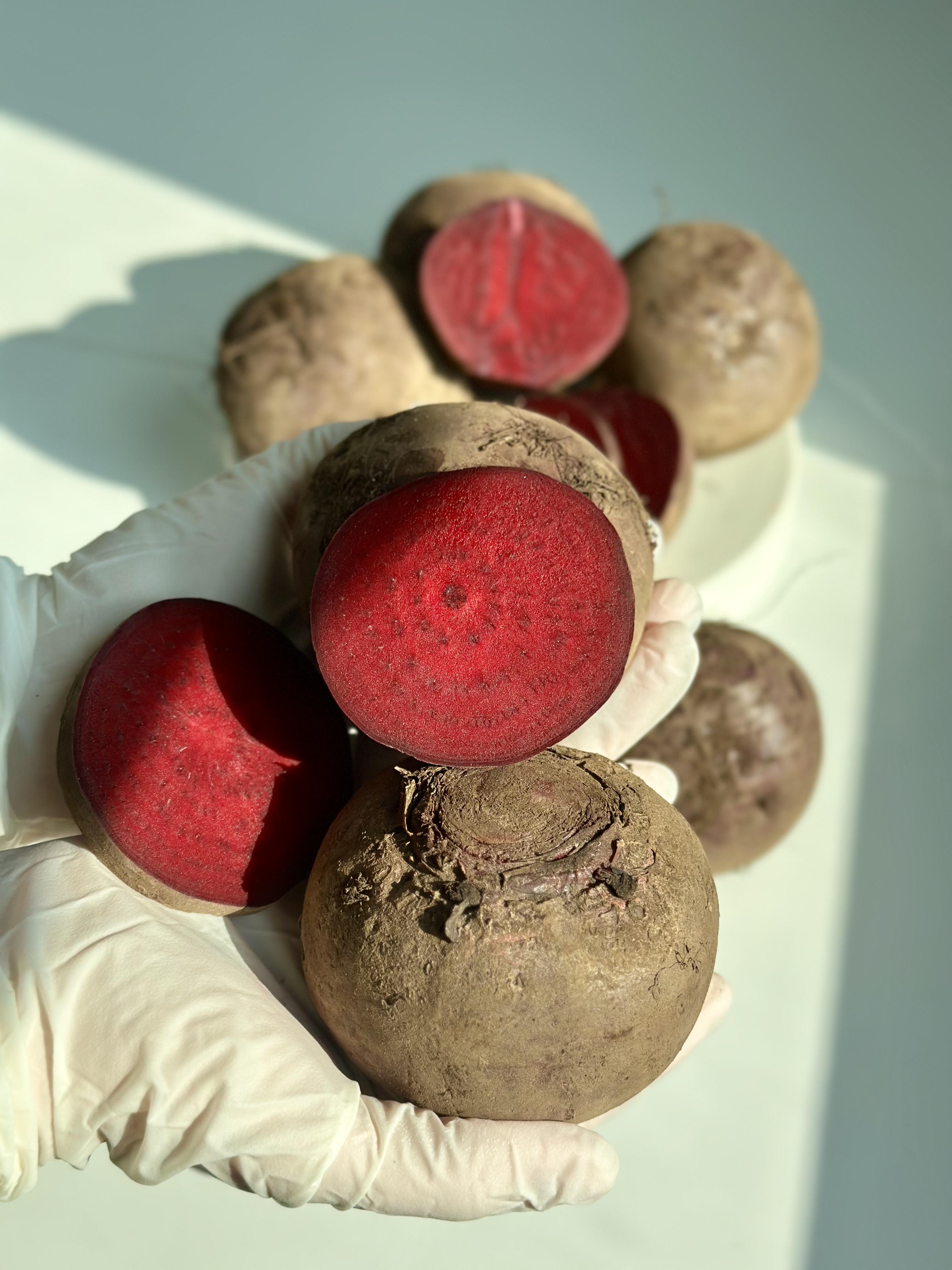 제주 햇 레드 비트 3kg, 5kg 국내산 이미지 3