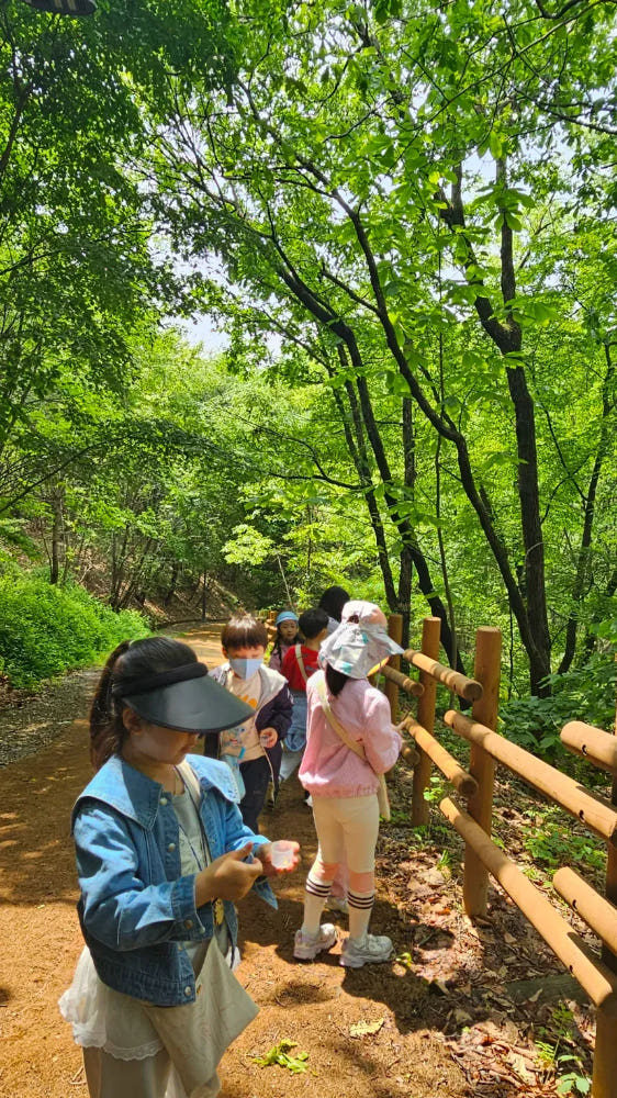 펀포레스트 자연아트 숲속 탐험 가격 추이 아이고고 펀포레스트 자연아트 숲속 탐험 - 최저가 34,500원