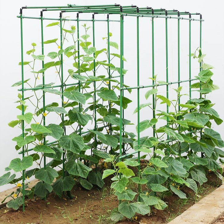 철제 지주대 토마토 조립식 식물 프레임 장미 텃밭 넝쿨 오이 정원 파이프 지지대 온실 - 상품 이미지