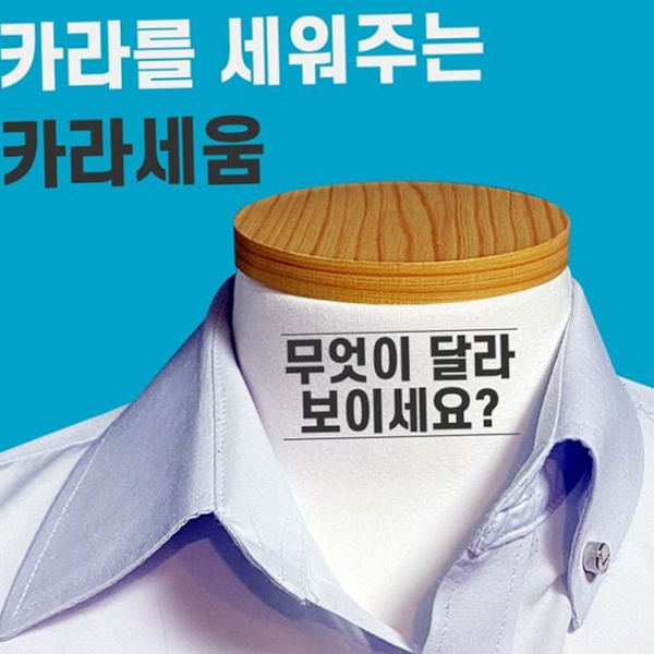 와이셔츠 셔츠 카라지 지지대 자석 세움 고정 칼라 지대 - 상품 이미지