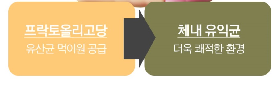포센스 프락토 올리고당 분말 500g 프리바이오틱스 이미지 8