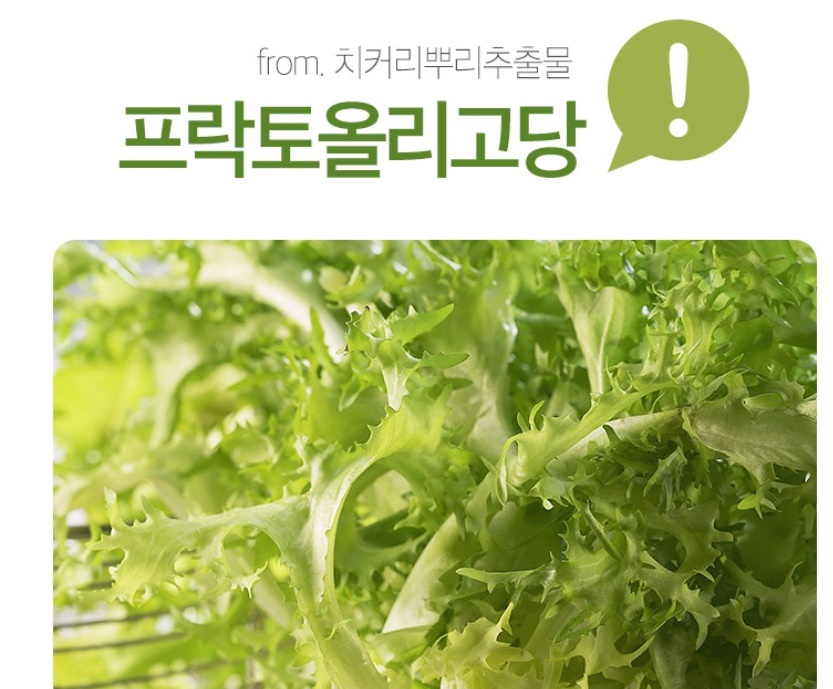 참굿즈 화이버라이트 프락토올리고당 치커리뿌리 추출물 500g - 상세 이미지 4