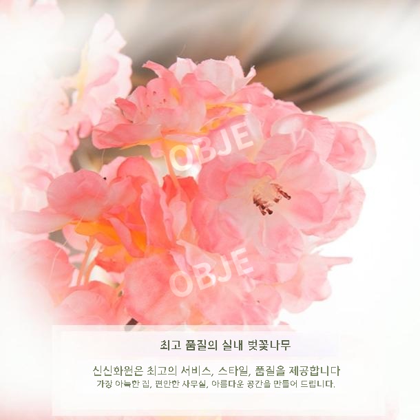 대형 벚꽃나무 조화나무 풍성한 2.3m 인조나무 인테리어 장식 조화나무 - 상세 이미지 2