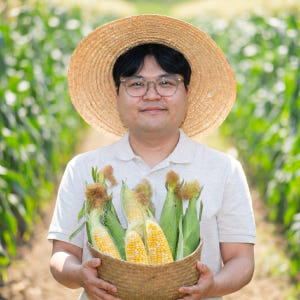 당도보장 초당옥수수 아이들 간식과 식사에 좋은 이유와 선택 기준