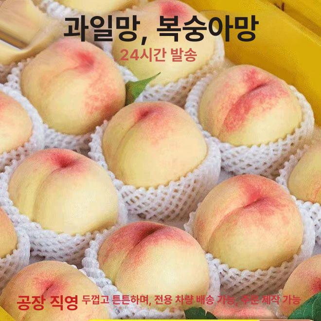 샤인머스켓 포도망 540개 과일망 네트망 포장재 과수원 포도보호 커버 - 상세 이미지 2