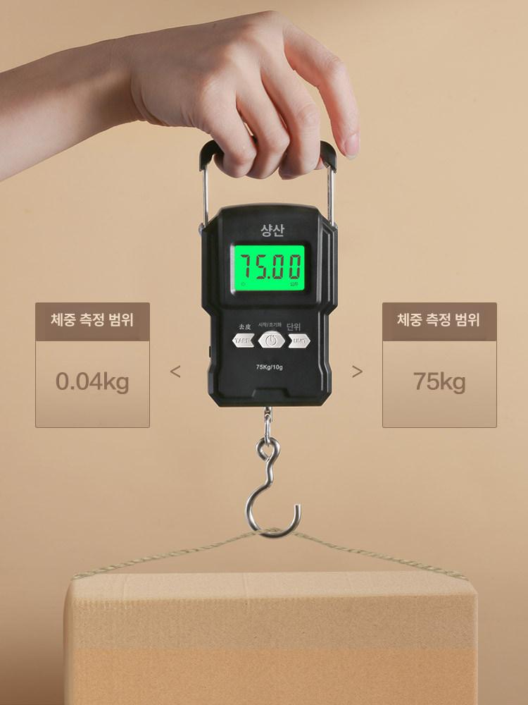 용수철저울 추 가벼운용수철저울 디지털 손저울 구매 롤러 배송 배터리 전자저울 용수철 - 상세 이미지 3