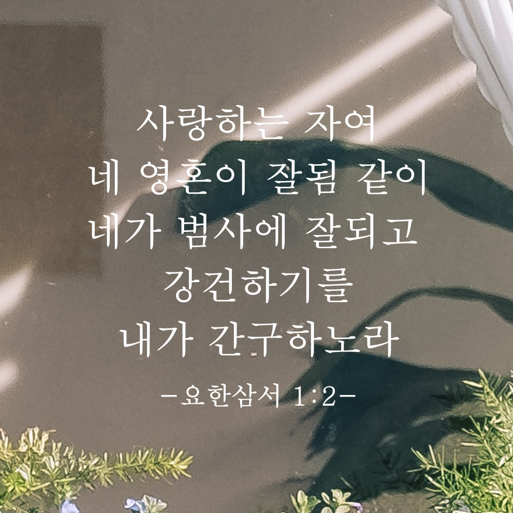 성경 구절 말씀 스티커 요한삼서 1장 2절 감성 명조체 검정S 27.5x25cm - 상세 이미지 2