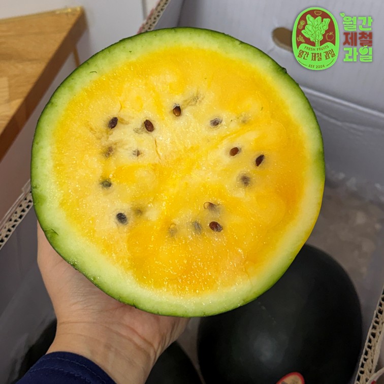 고창 씨없는수박 흑수박 블랙망고수박 애플수박 노란 손질 컷팅수박 4kg 8kg - 상세 이미지 3