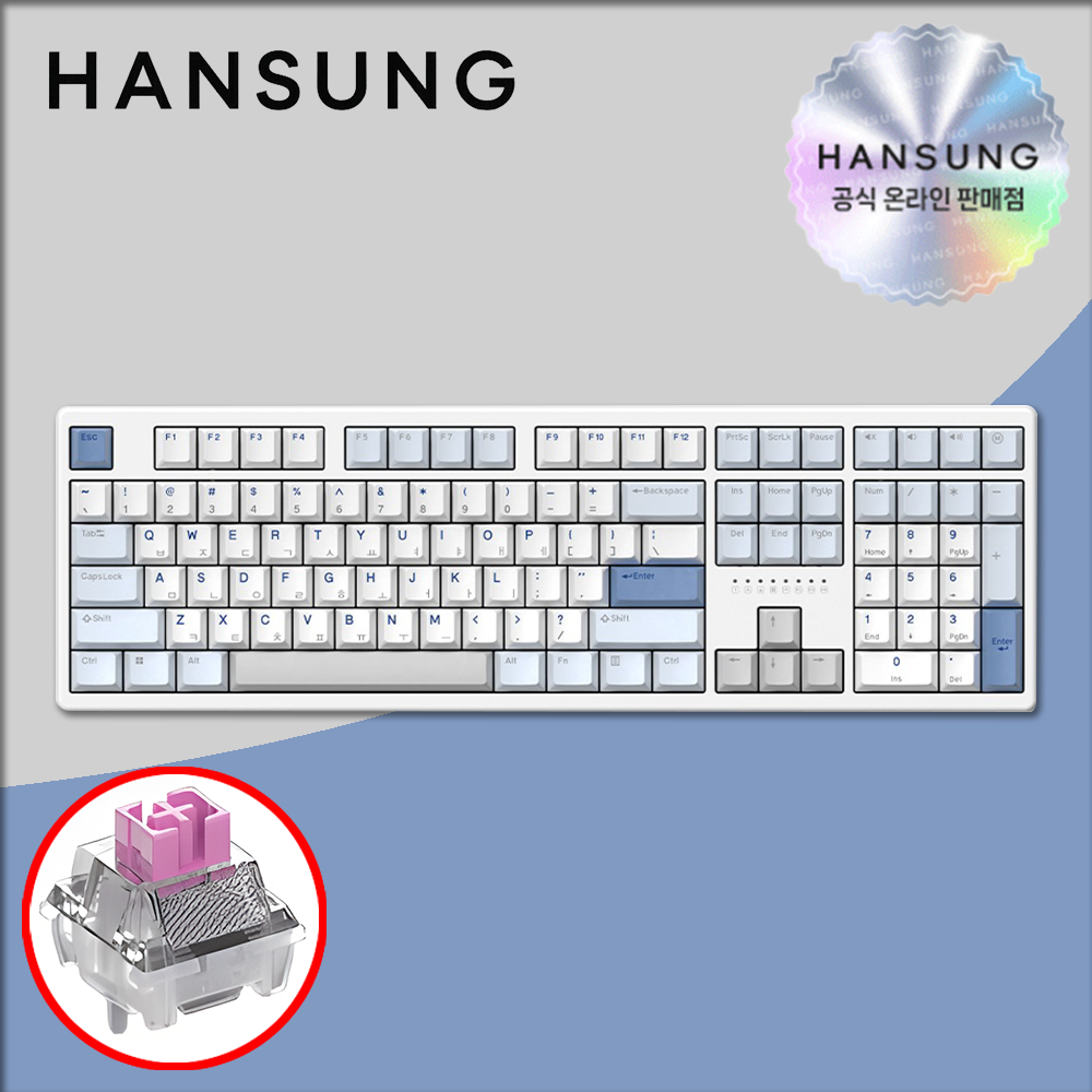한성 TFG 매그니톡스 2XF 8K 래피드트리거 그레이레이니, 저소음 자석축, 35g - 상품 이미지