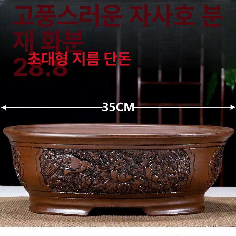 대형 원예 분재 화분 분갈이 식물 조경 인테리어 장식 선물 소나무 꽃 묘목 - 상세 이미지 2