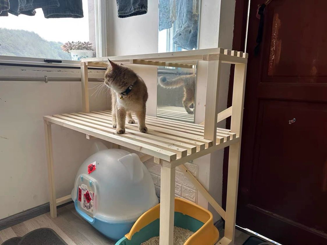 고양이 화장실선반 원목 2단 계단식 보관 다이 보관함 캣타워 선반 공간 수납 가구 발코니 - 상세 이미지 3