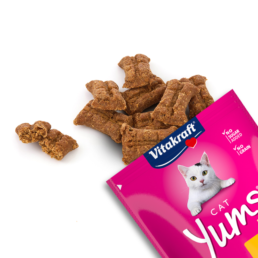 비타크래프트 캣얌 연어, 40g, 1개 이미지 7