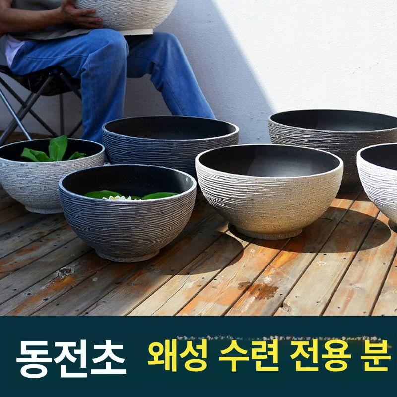 대형 연꽃화분 원형 수련 정원용 플랜터 거실 인테리어 모던 수생식물 - 상세 이미지 4