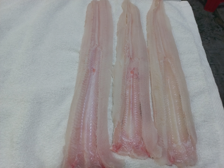 통영 붕장어 아나고회 350g 순살 세꼬시 칠암식 - 상세 이미지 3