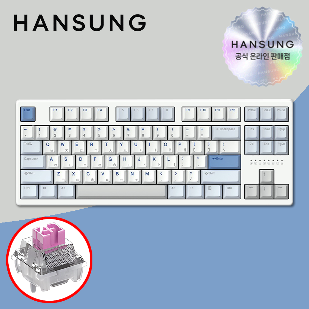 한성 TFG 매그니톡스 2XL 8K 래피드트리거 그레이레이니, 저소음 자석축, 35g - 상품 이미지