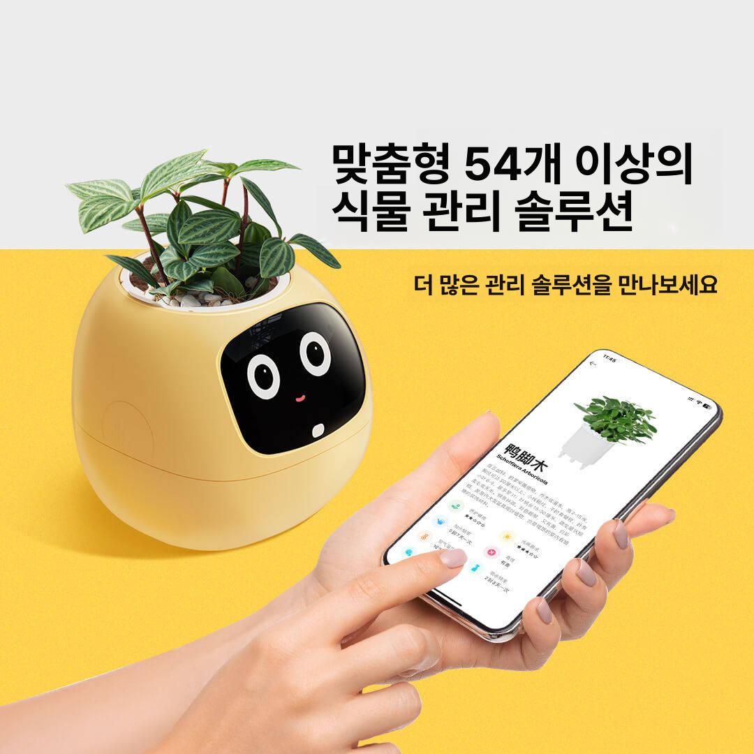 스마트 화분 ai 플랜터 표정화분 로봇 감정표현 플러스 소장품 반응형 펫 - 상세 이미지 2