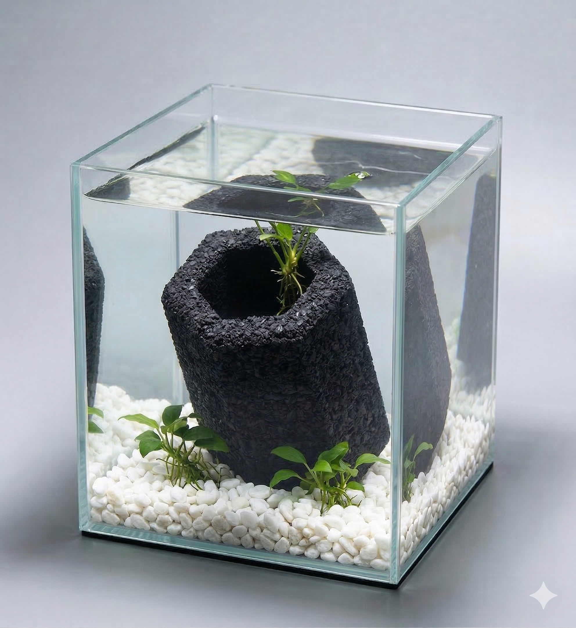 차콜아쿠아 참숯 어항 여과재 수질정화 불순물 흡착 미생물 담채 소형 9x6cm (2개입) 1개 상품 이미지