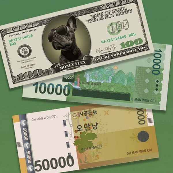 교육용 가짜 돈 장난감 가짜 지폐 놀이용 머니건 용돈 - 상품 이미지