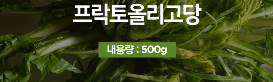 참굿즈 화이버라이트 프락토올리고당 치커리뿌리 추출물 500g - 상세 이미지 2