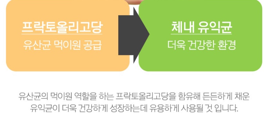 참굿즈 화이버라이트 프락토올리고당 치커리뿌리 추출물 500g 이미지 6