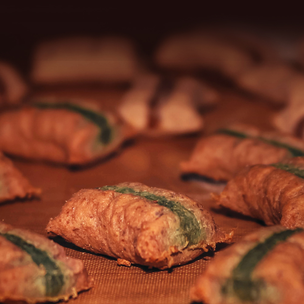 비타크래프트 캣얌 연어, 40g, 1개 - 상세 이미지 4