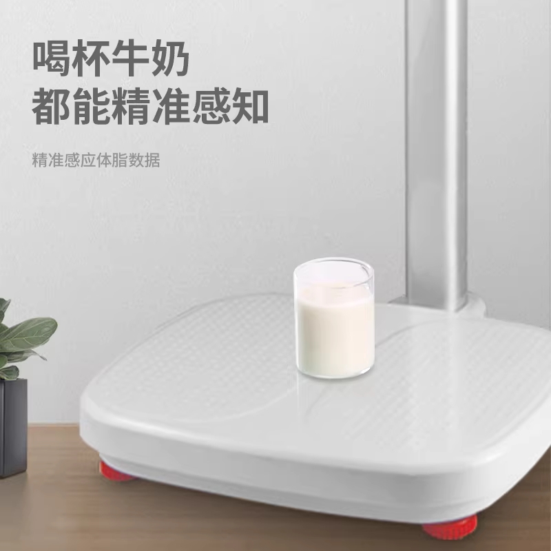 목욕탕 체중계 업소용 전자저울 찜질방 사우나 체육관 단일상품 - 상세 이미지 2